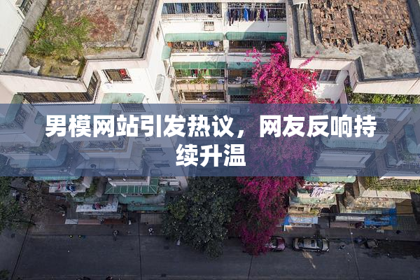 男模网站引发热议，网友反响持续升温