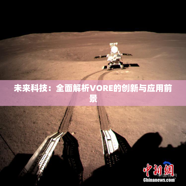 未来科技：全面解析VORE的创新与应用前景