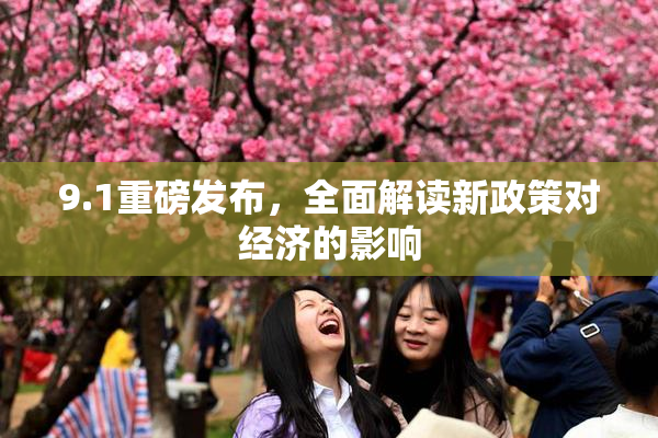 9.1重磅发布，全面解读新政策对经济的影响