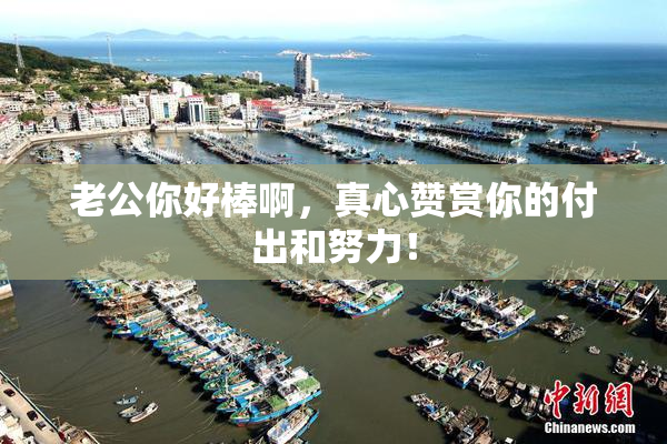 老公你好棒啊，真心赞赏你的付出和努力！