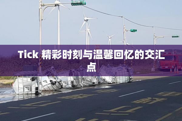 Tick 精彩时刻与温馨回忆的交汇点