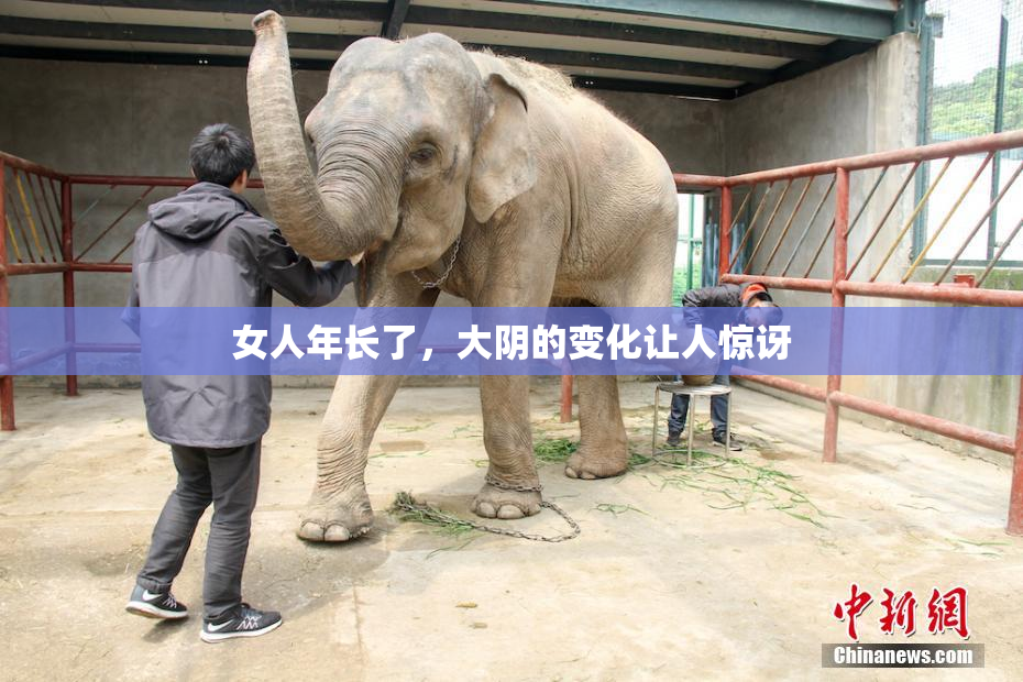 女人年长了，大阴的变化让人惊讶