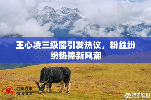 王心凌三级露引发热议，粉丝纷纷热捧新风潮