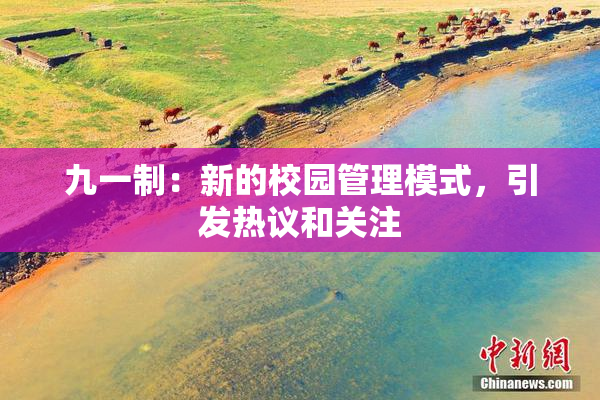 九一制：新的校园管理模式，引发热议和关注