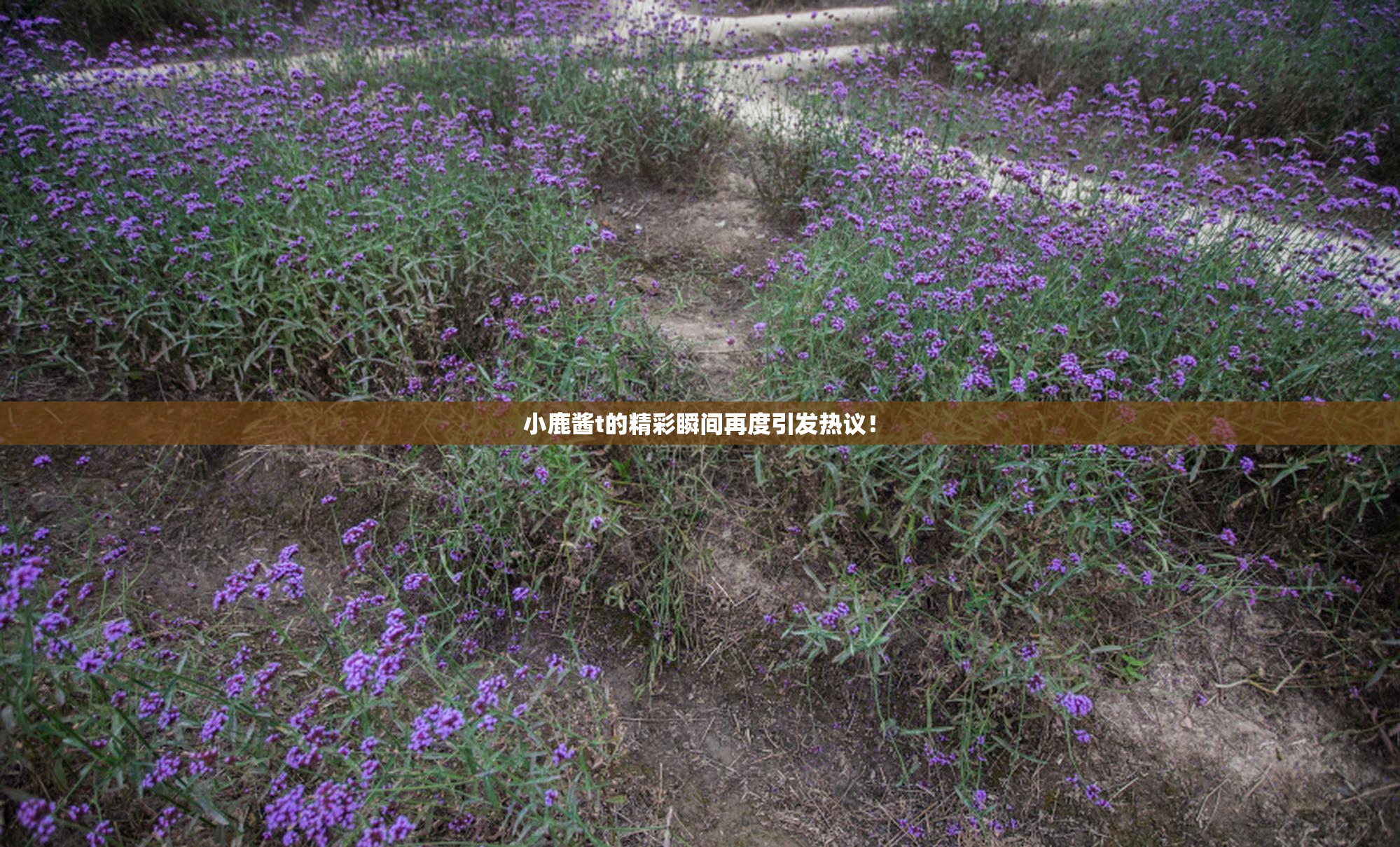 小鹿酱t的精彩瞬间再度引发热议！