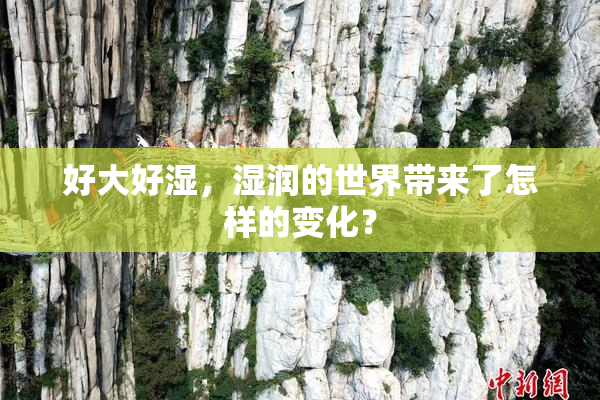 好大好湿，湿润的世界带来了怎样的变化？