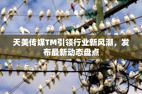 天美传媒TM引领行业新风潮，发布最新动态盘点