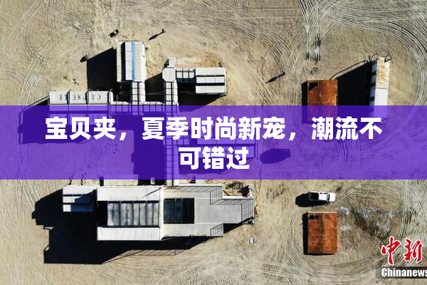 宝贝夹，夏季时尚新宠，潮流不可错过