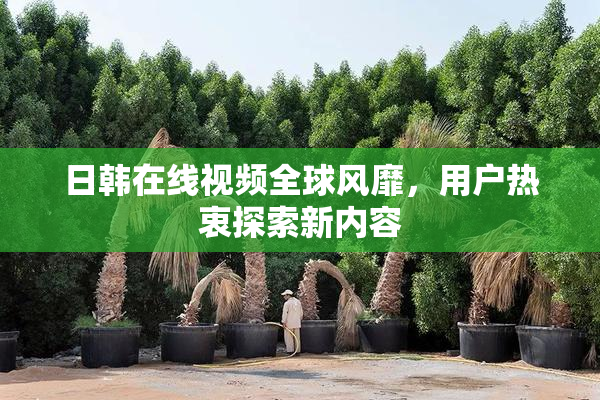 日韩在线视频全球风靡，用户热衷探索新内容