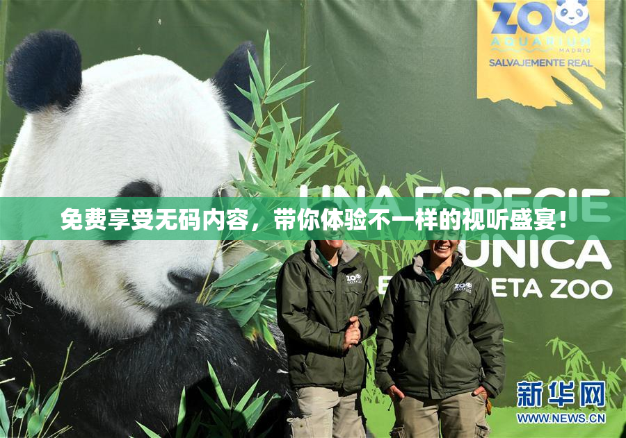 免费享受无码内容，带你体验不一样的视听盛宴！