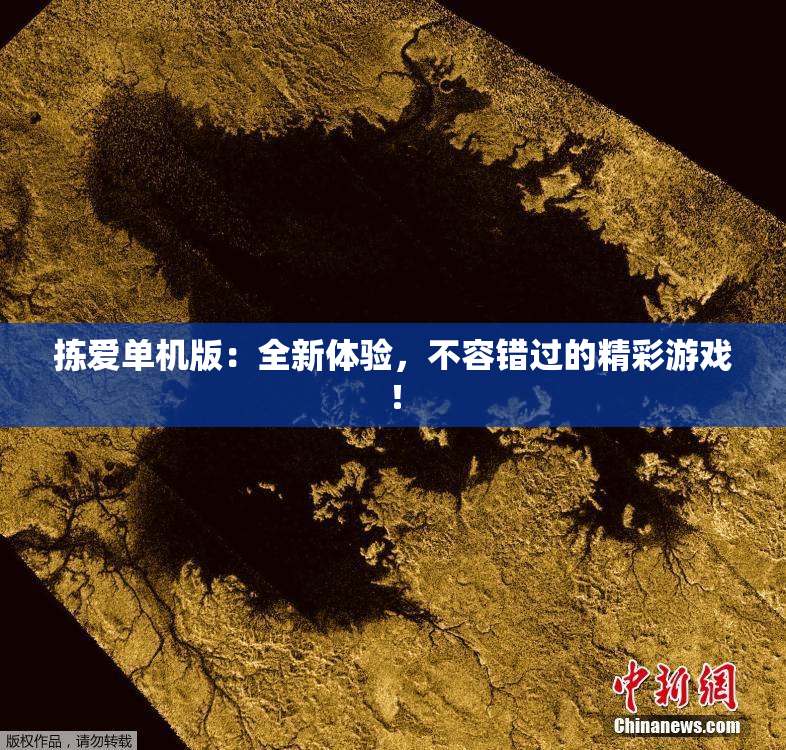 拣爱单机版：全新体验，不容错过的精彩游戏！