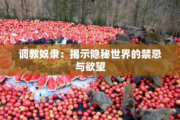 调教奴隶：揭示隐秘世界的禁忌与欲望