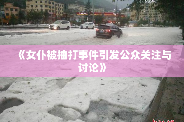 《女仆被抽打事件引发公众关注与讨论》