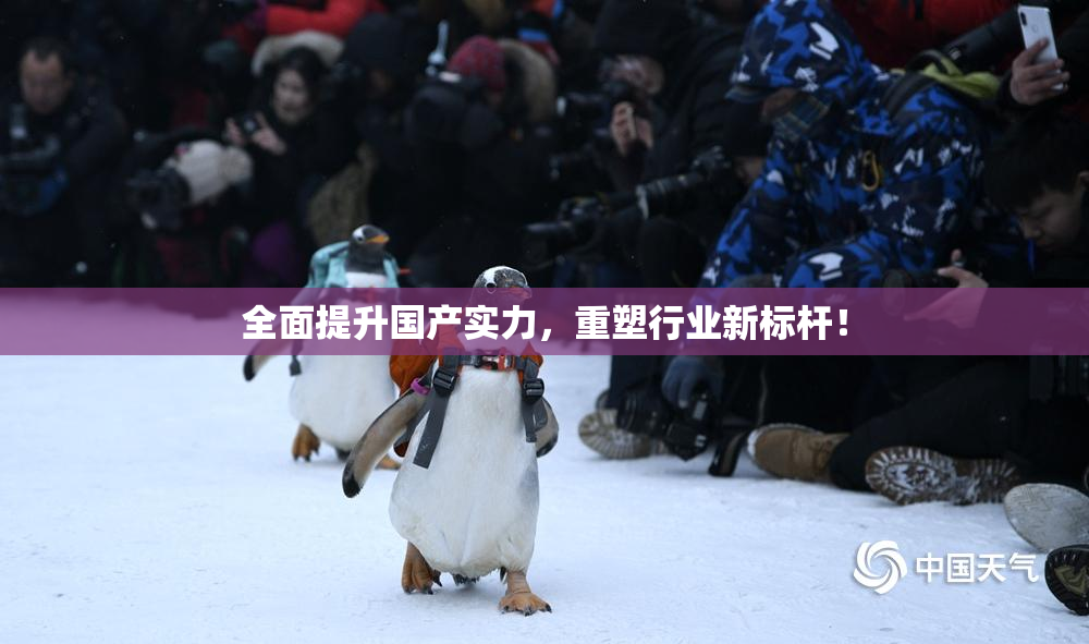 全面提升国产实力，重塑行业新标杆！