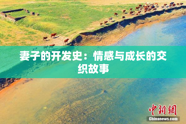 妻子的开发史：情感与成长的交织故事