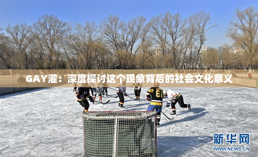 GAY灌：深度探讨这个现象背后的社会文化意义