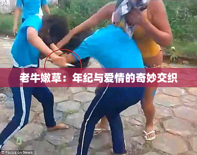 老牛嫩草：年纪与爱情的奇妙交织