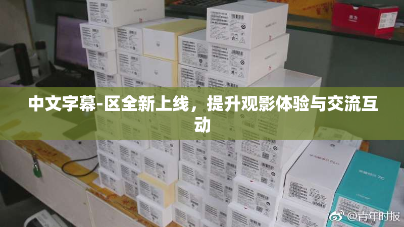 中文字幕-区全新上线，提升观影体验与交流互动