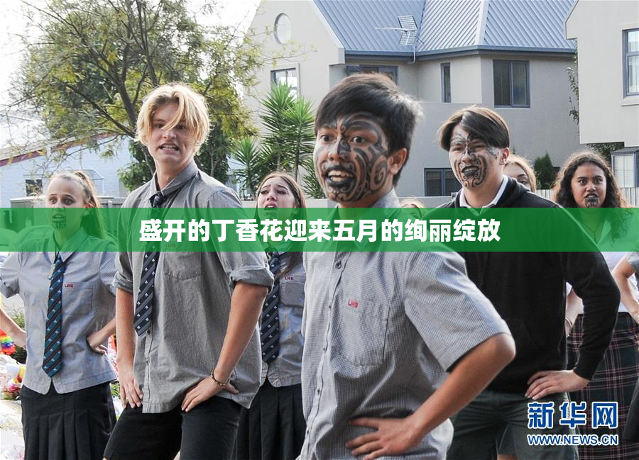 盛开的丁香花迎来五月的绚丽绽放