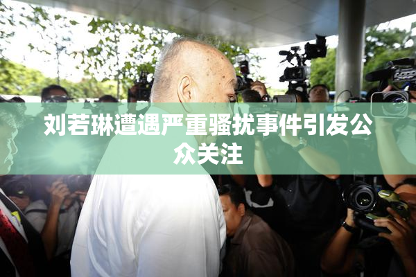 刘若琳遭遇严重骚扰事件引发公众关注