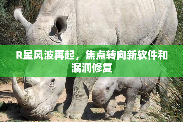 R星风波再起，焦点转向新软件和漏洞修复
