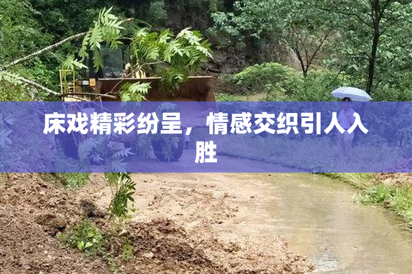 床戏精彩纷呈，情感交织引人入胜