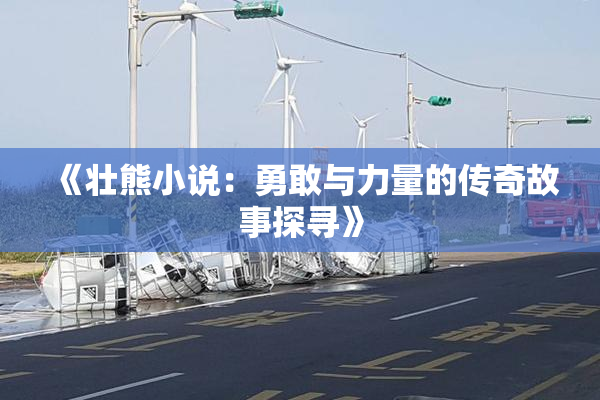 《壮熊小说：勇敢与力量的传奇故事探寻》