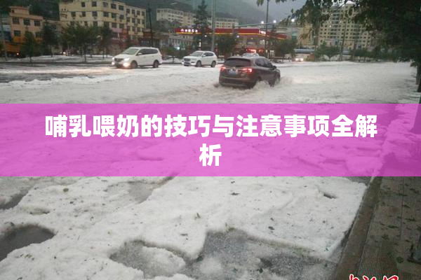 哺乳喂奶的技巧与注意事项全解析