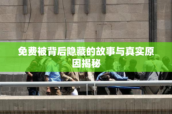免费被背后隐藏的故事与真实原因揭秘