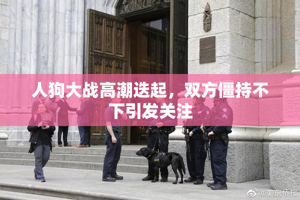 人狗大战高潮迭起，双方僵持不下引发关注
