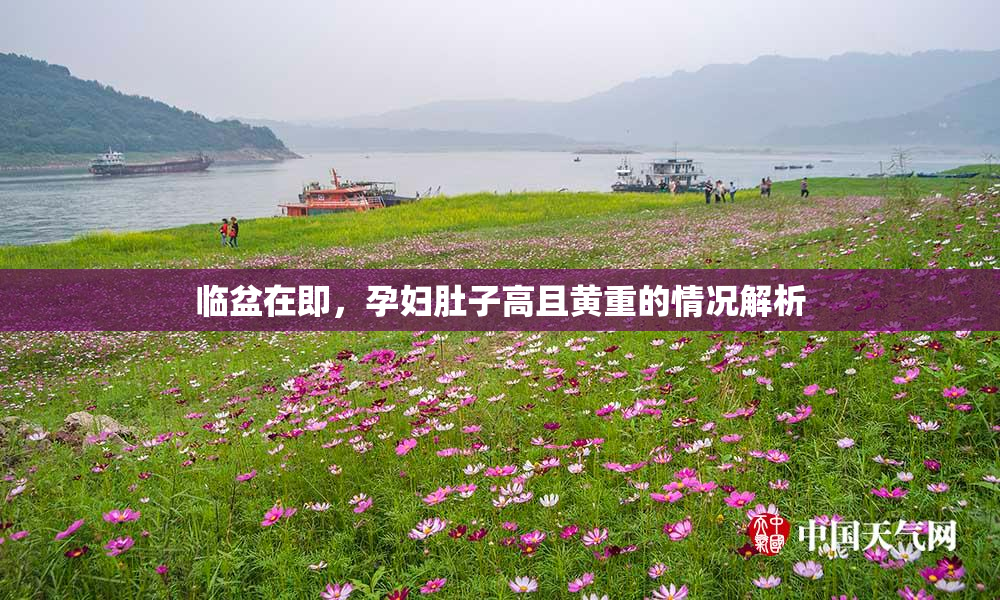 临盆在即，孕妇肚子高且黄重的情况解析