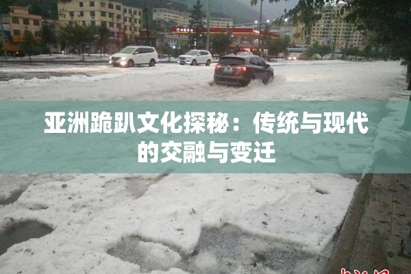 亚洲跪趴文化探秘：传统与现代的交融与变迁