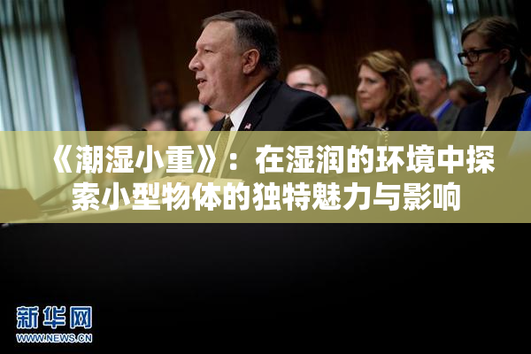 《潮湿小重》：在湿润的环境中探索小型物体的独特魅力与影响