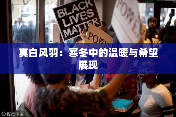 真白风羽：寒冬中的温暖与希望展现