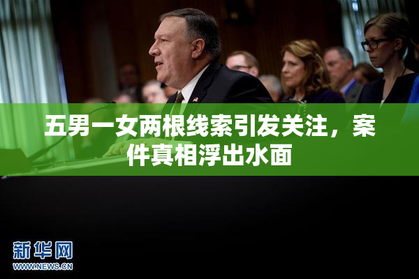 五男一女两根线索引发关注，案件真相浮出水面