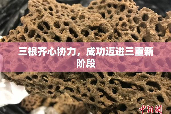 三根齐心协力，成功迈进三重新阶段