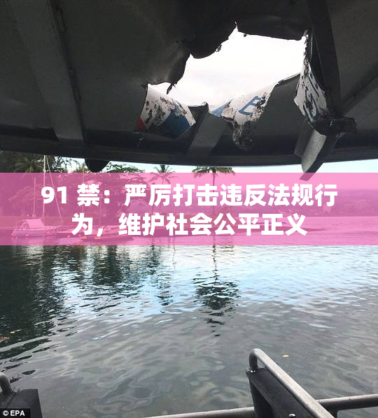 91 禁：严厉打击违反法规行为，维护社会公平正义