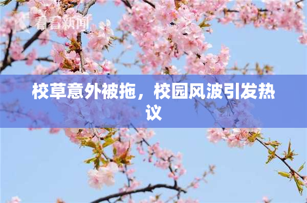 校草意外被拖，校园风波引发热议