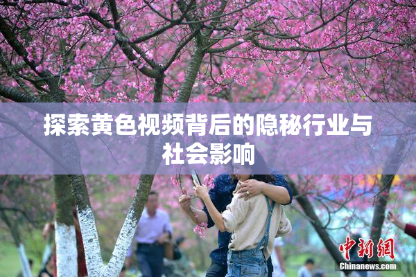 探索黄色视频背后的隐秘行业与社会影响
