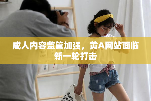 成人内容监管加强，黄A网站面临新一轮打击