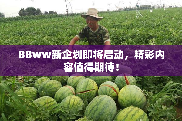 BBww新企划即将启动，精彩内容值得期待！