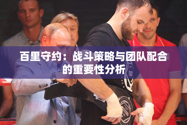 百里守约：战斗策略与团队配合的重要性分析