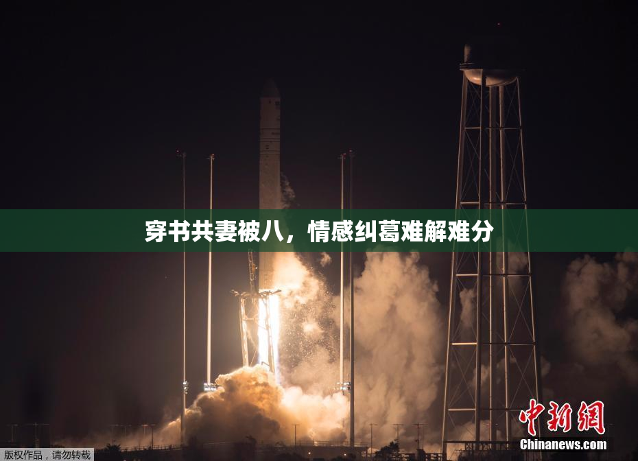 穿书共妻被八，情感纠葛难解难分