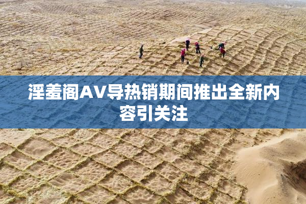 淫羞阁AV导热销期间推出全新内容引关注