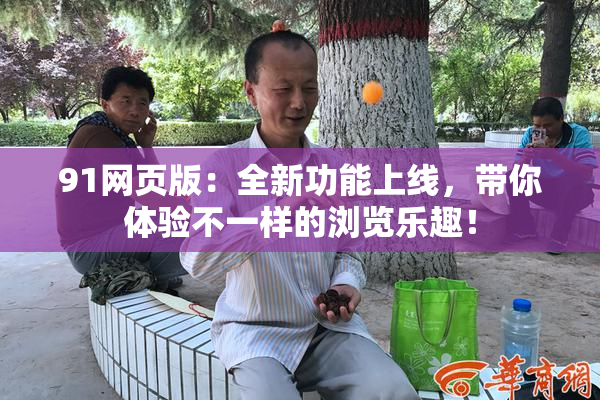 91网页版：全新功能上线，带你体验不一样的浏览乐趣！