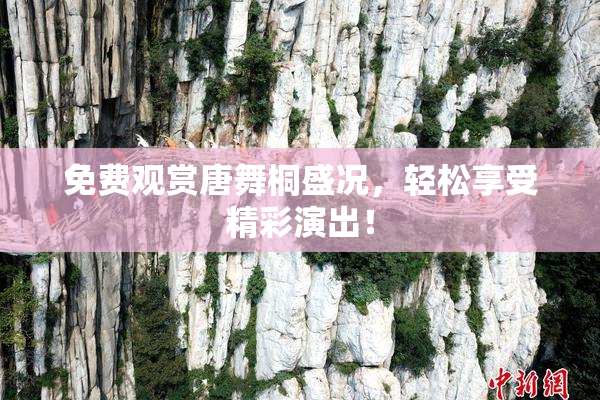 免费观赏唐舞桐盛况，轻松享受精彩演出！