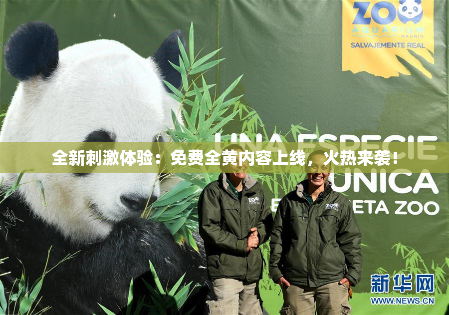 全新刺激体验：免费全黄内容上线，火热来袭！