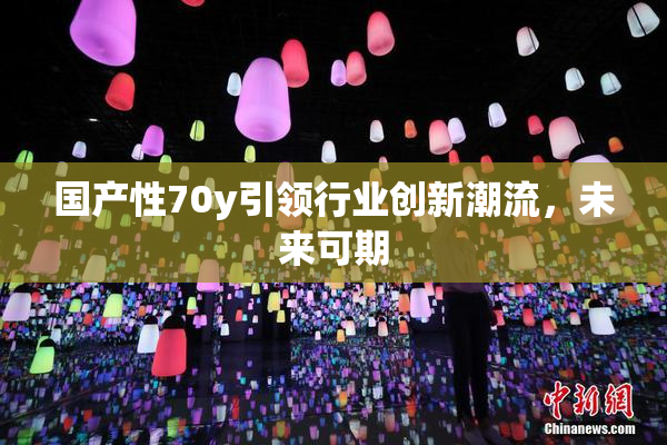 国产性70y引领行业创新潮流，未来可期