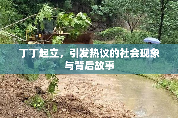 丁丁起立，引发热议的社会现象与背后故事
