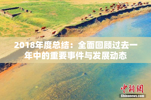 2018年度总结：全面回顾过去一年中的重要事件与发展动态